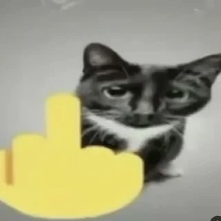 Телеграм стикер 🖕 lowww