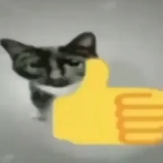 Video sticker 👍 lowww