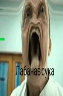 Video sticker 🙈 Интерны🤟🤟 ➡️ @Ctikerubot