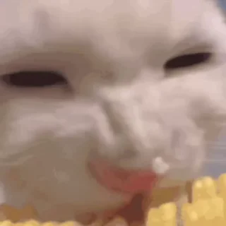 Video sticker 😝 狗推大队 @la777