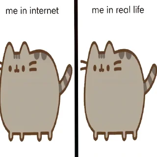 Video sticker 👍 pushee