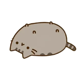 Video sticker 🖼 pushee