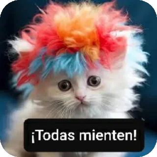 Video sticker 😖 PapiGus