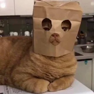 Sticker 👺 bichos trostes