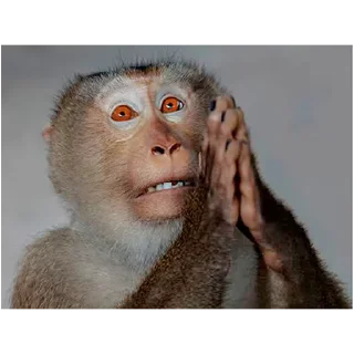 Video sticker 🙏 Онли пики
