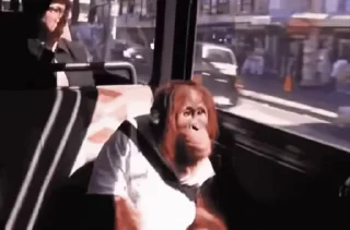 Video sticker 😕 Онли пики