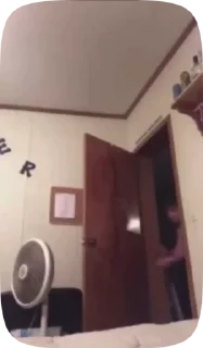 Video sticker 🖕 👁 Лучшее! By @daniilnikonorov1