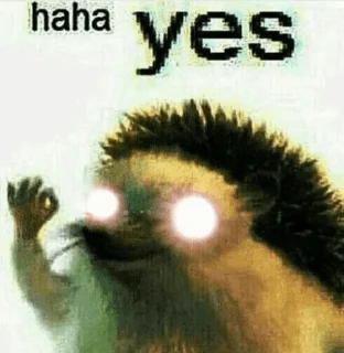 Telegram sticker 👌 Nigga @Virus_Khataram