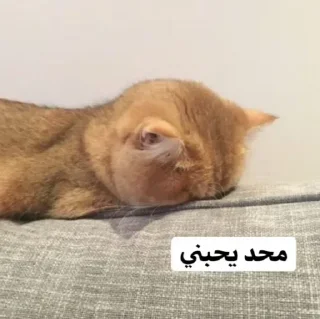 Sticker 💔 𝕄𝔸𝕊𝔸 💎 :: @fStikBot