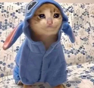 Video sticker 😔 𝕄𝔸𝕊𝔸 💎 :: @fStikBot