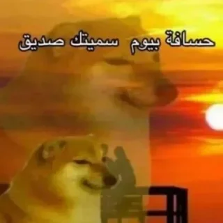 Video sticker 😂 𝕄𝔸𝕊𝔸 💎 :: @fStikBot