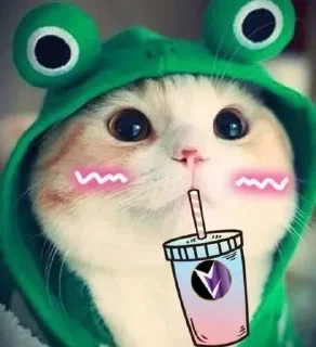 Telegram sticker 💧 Sʜɪᴏʙᴇʀʀʏ'ꜱ Sᴛɪᴄᴋᴇʀꜱ @Shiori_Mitsuki