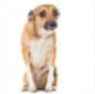 Video sticker 🌟 Больше стиков тут: @stikery4