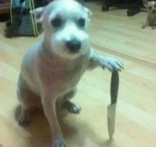 Video sticker 🌟 Больше стиков тут: @stikery4