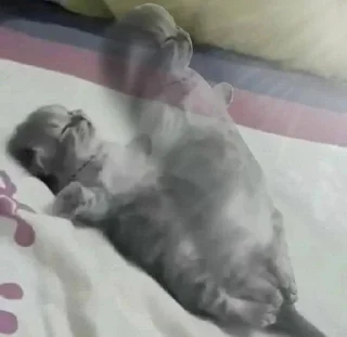 Telegram sticker 🪦 Больше стиков тут: @stikery4