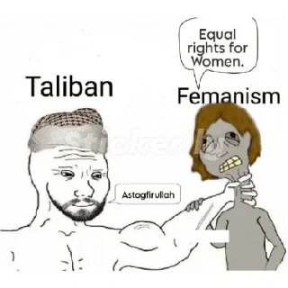 Sticker 😥 Anti feminist meme
