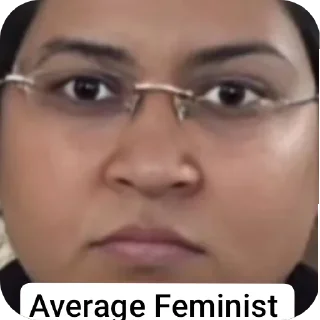 Video sticker 🖼 Anti feminist meme