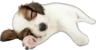 Telegram sticker 😴 @round_stickers