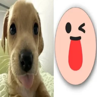 Telegram sticker 😛 собакены и много котекоф :: @fStikBot