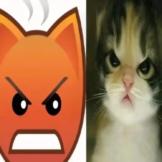 Telegram sticker 🤬 собакены и много котекоф :: @fStikBot