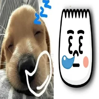 Video sticker 😴 собакены и много котекоф :: @fStikBot