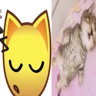 Telegram sticker 😴 собакены и много котекоф :: @fStikBot