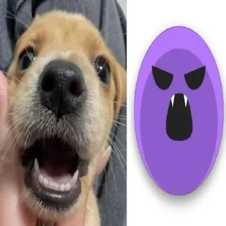 Telegram sticker 😡 собакены и много котекоф :: @fStikBot