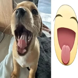 Telegram sticker 😝 собакены и много котекоф :: @fStikBot