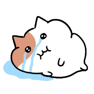Video sticker 👍 쫀냐미는 뚱땡고양이