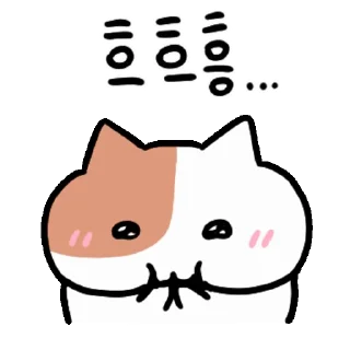 Video sticker 👍 쫀냐미는 뚱땡고양이