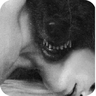 Telegram sticker 👍 @Whiskieeyes