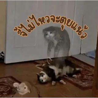 Telegram sticker ☠️ เบนจี้หรือเบนจิ
