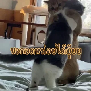 Telegram sticker 🥺 เบนจี้หรือเบนจิ