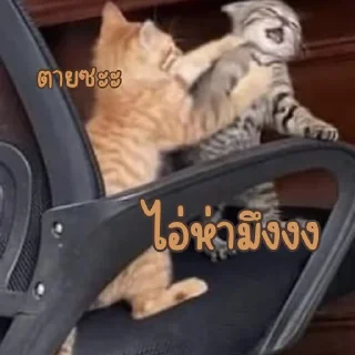 Telegram sticker 😾 เบนจี้หรือเบนจิ