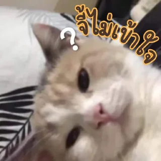 Sticker 🤔 เบนจี้หรือเบนจิ