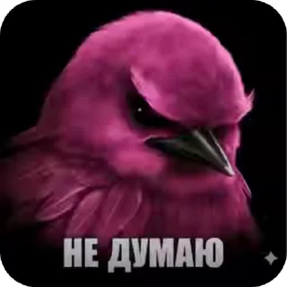 Video sticker 🐦‍⬛️ 🎄Подарок за игру @StarsGame2