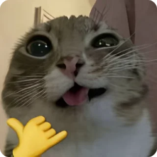 Video sticker 🤙 🌟НОВЫЕ СТИКЕРЫ @stikery_3