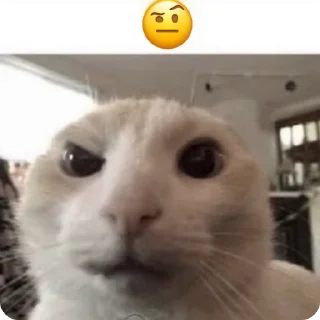 Video sticker 🤨 🎄Подарок за игру @StarsGame2