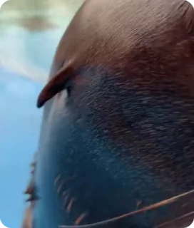 Video sticker 😜 🌟СОЗДАВАЙ СТИКЕРЫ @stikery_3