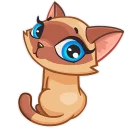 Telegram sticker 😐 Siamese Kitty