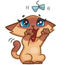 Telegram stiker 😝 Siamese Kitty