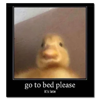 Video sticker 😴 хомяки и не только