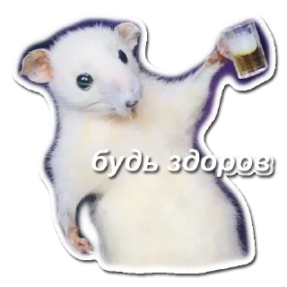 Telegram sticker 🍺 хомяки и не только
