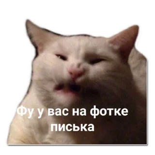 Telegram sticker 🤢 хомяки и не только