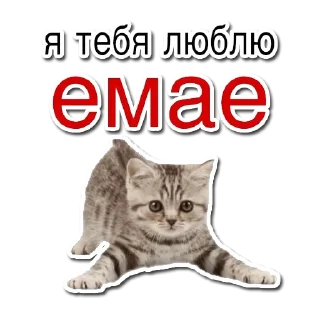 Telegram sticker ❤️ хомяки и не только