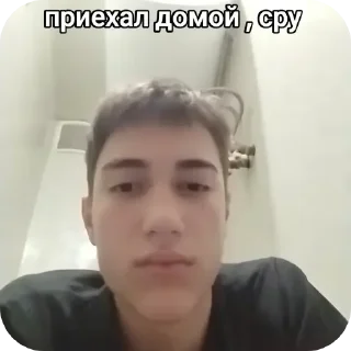 Video sticker 🤳 Набор стикеров Дмитрия Дiни