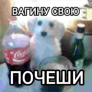 Video sticker 🤩 Больше стиков тут: @stikery4