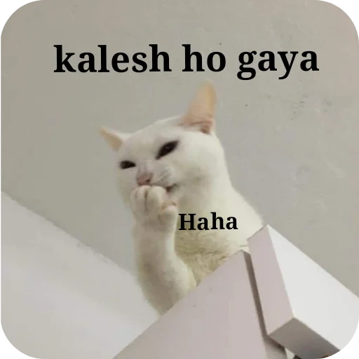 Telegram sticker 🐱 🎀Surbhi🎀