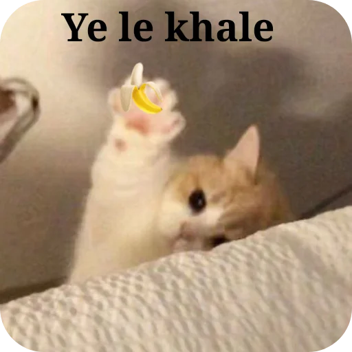 Telegram sticker 🐱 🎀Surbhi🎀