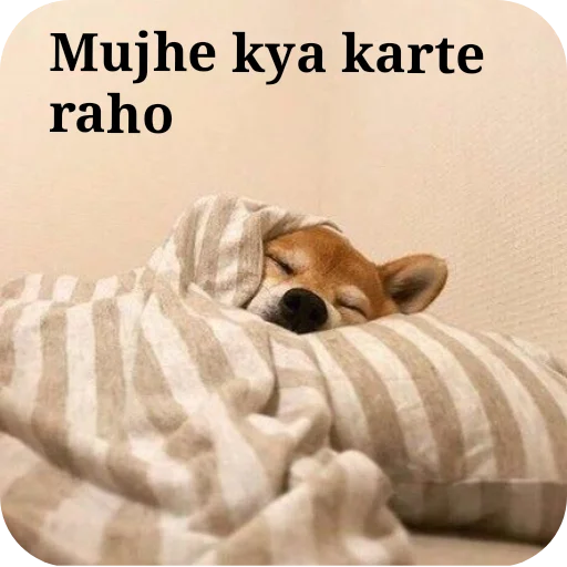 Telegram sticker 🐶 🎀Surbhi🎀